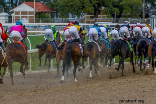 Duel du Trio Gagnant