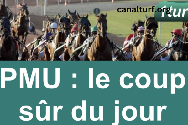 cheval coup sur du jour