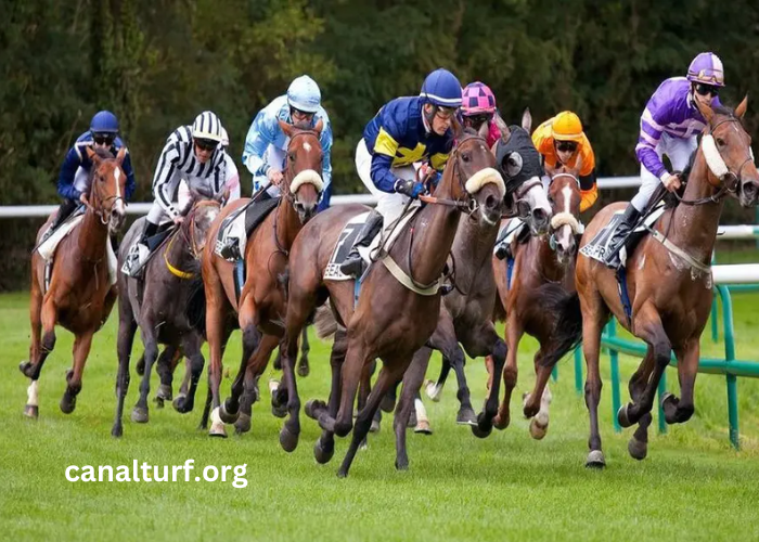 Resultat Des Courses Aujourd'hui