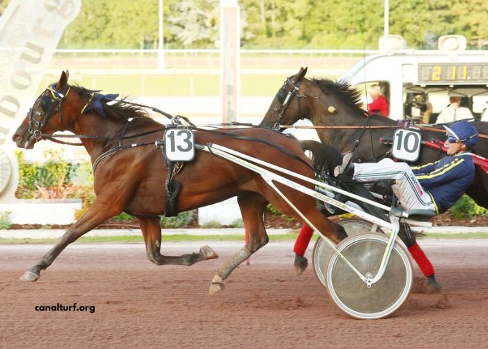 Les 7 Du Tiercé