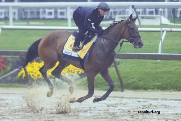 Paris Promise Turf
