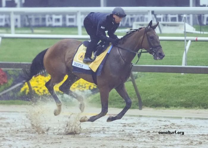 Paris Promise Turf