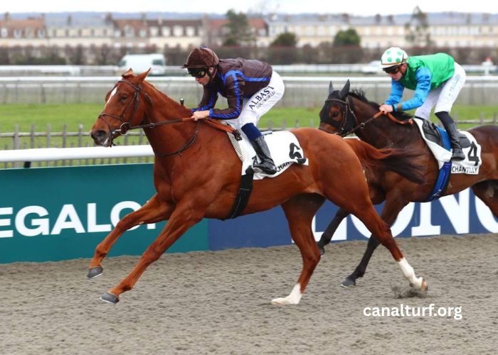 Canalturf