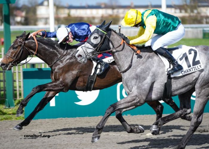 Les 5 Pions Turf