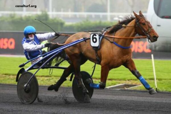 Pronostic DE Demain