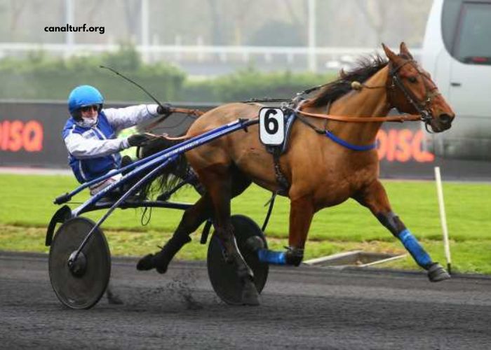 Pronostic DE Demain